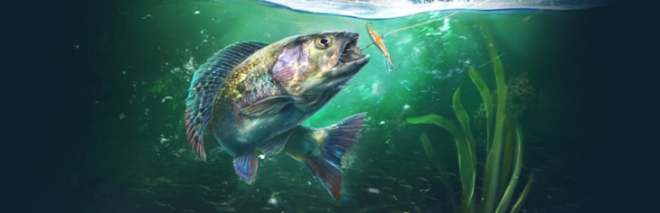 Supporting image for Ultimate Fishing Simulator 2 Press release