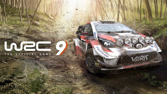 Supporting image for WRC 9 Пресс-релиз