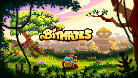 Supporting image for Bitmates Basin bülteni
