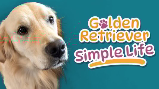 Supporting image for Golden Retriever Simple Life Comunicado de prensa