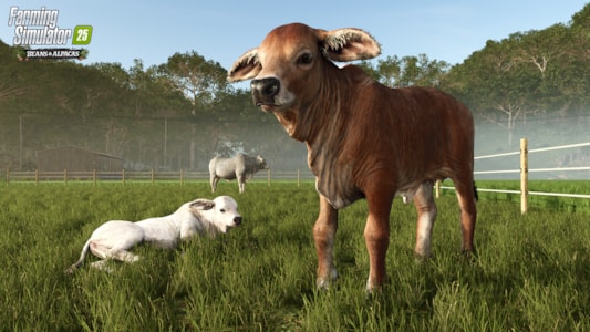 Supporting image for Farming Simulator 25 Press release