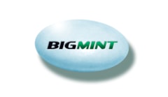 BigMint_Logo_4c.jpg